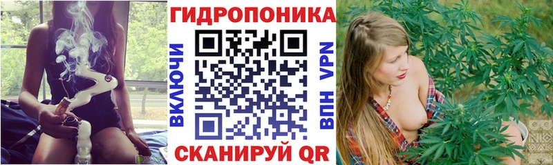 Каннабис SATIVA & INDICA  Купить закладки  Выкса 